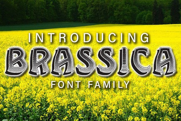 Brassica: The Extravagant Display Font for Bold Design