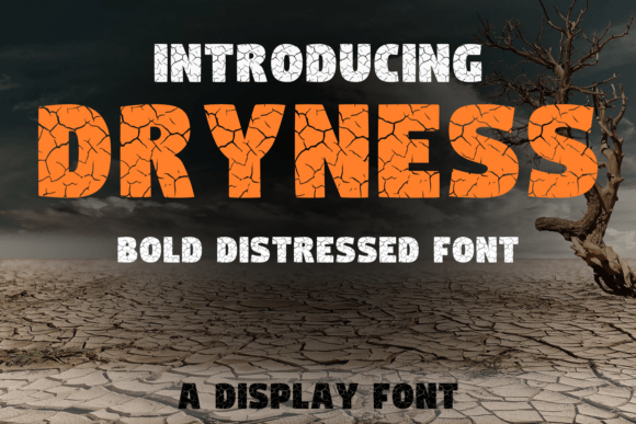 Dryness: A Unique Display Font for Modern Design
